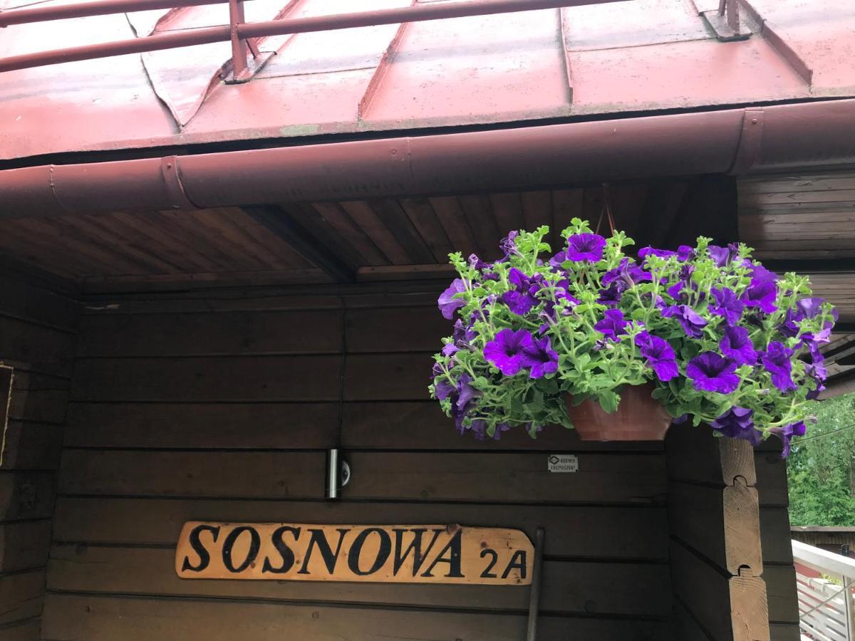 Sosnowy Zakatek Villa วีสวา ภายนอก รูปภาพ